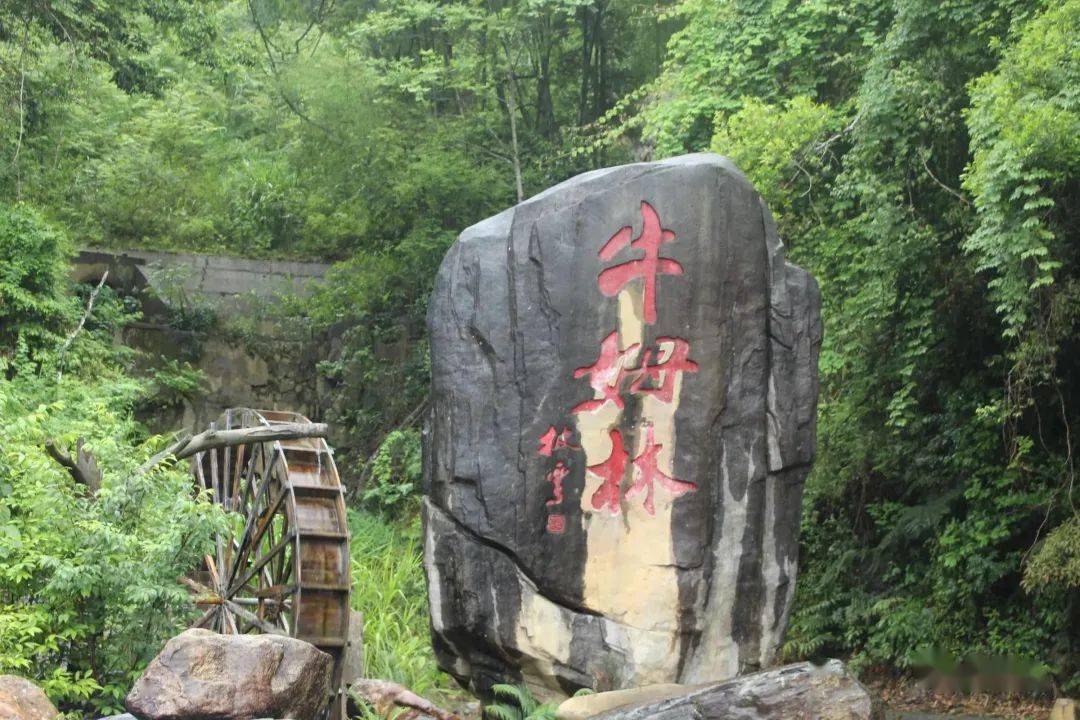 永春牛姆林风景区图片图片