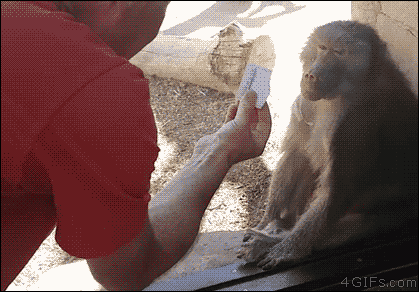 419_292gif 动态图 动图