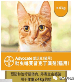 「歪胡子的猫」猫咪驱虫小指南