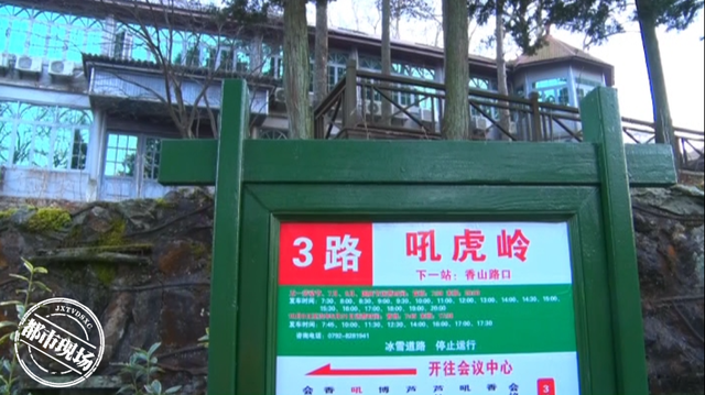 上九江庐山来寻"虎" 这些"赏虎地"等您来!