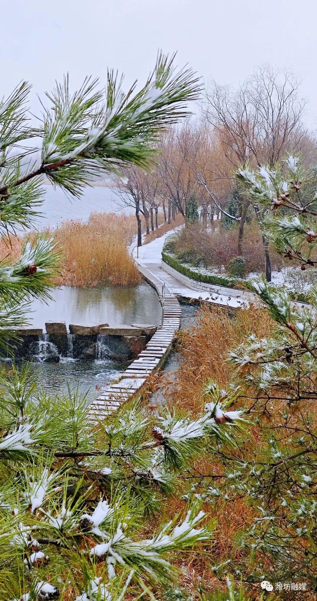 潍坊雪景图片