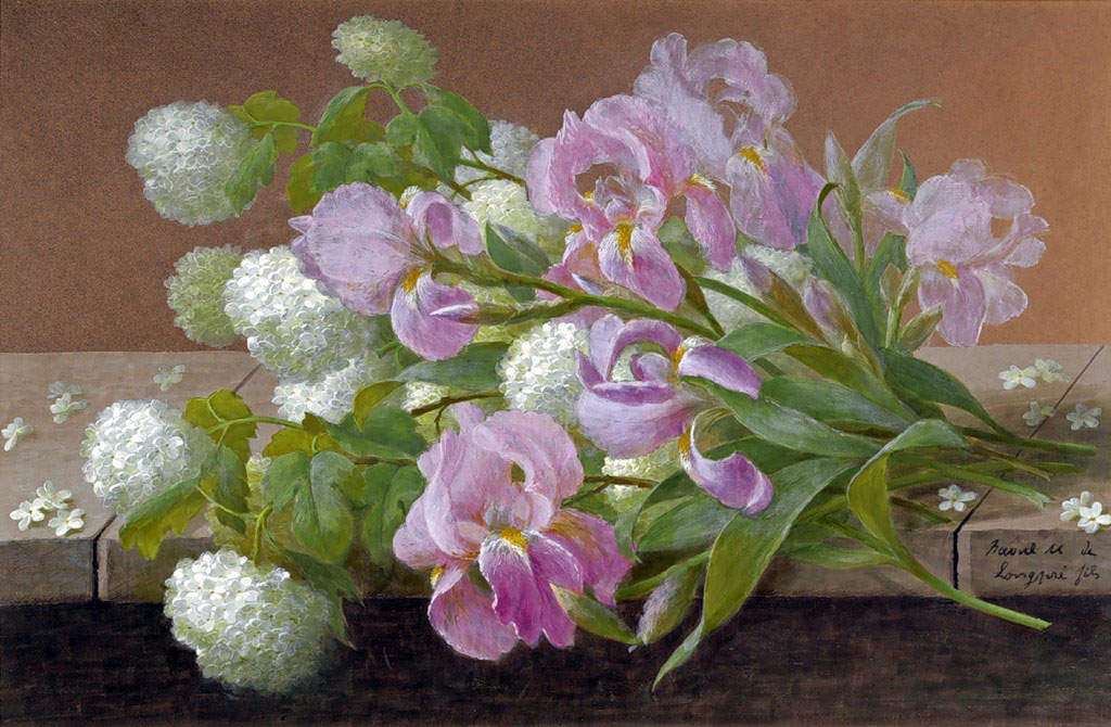 格调素雅又不失娇艳的花卉油画︱拉乌尔·莫夏·德·龙佩的绘画作品