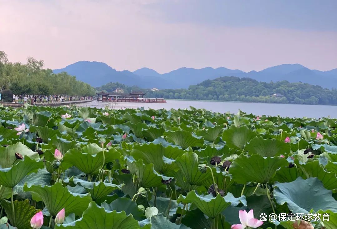 澳门特一肖一码期期准免费提_留学生归国利好，六大城市2023落户新政策