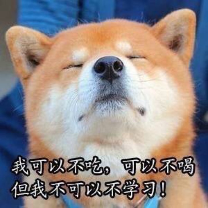 17岁小将苏翊鸣在线展示单板滑雪,越滑越高的窍门你学会了吗?
