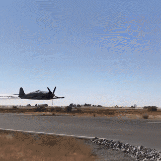 密集恐惧症表示这个图真的看不下去