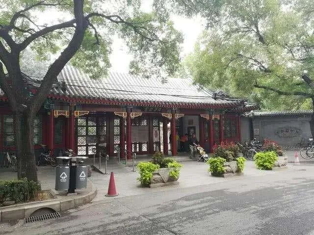 北京有条槐柏树街