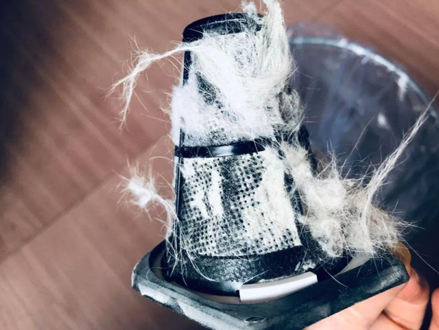 原来螨虫的最大天敌不是暴晒家中摆点它螨虫就没了