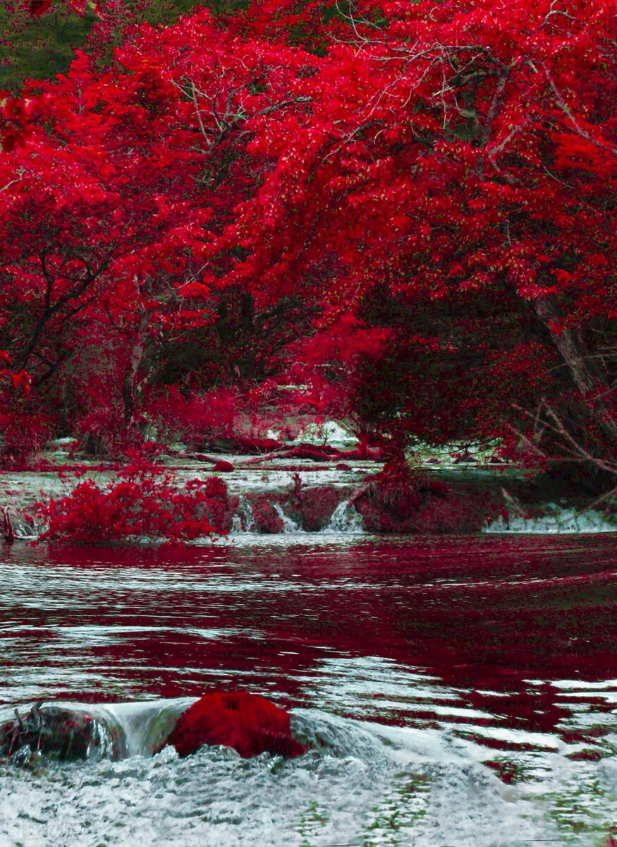 红色才是中国秋天的主打色!这17处枫叶观赏地,总有一个能惊艳你