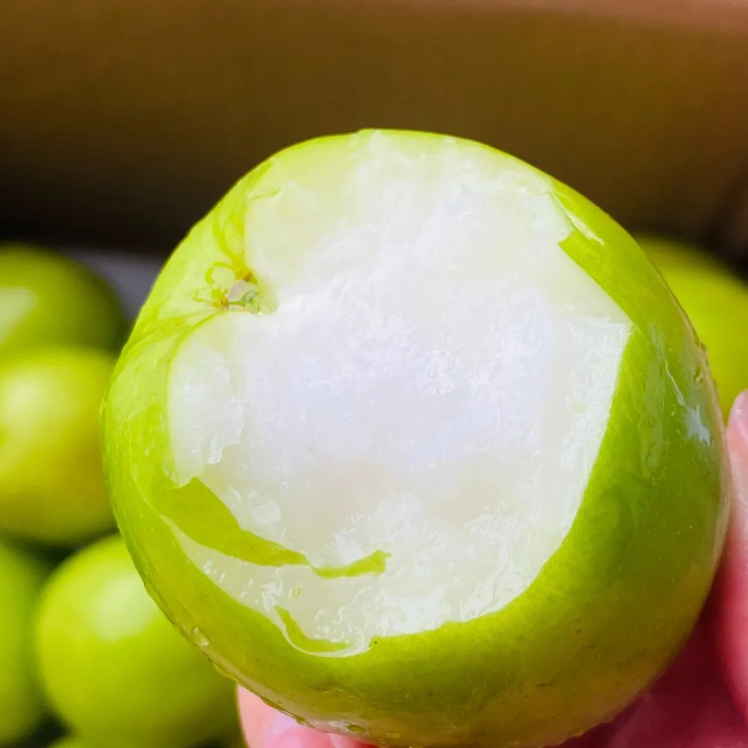 辰颐物语福建贵妃牛奶枣:脆如苹果,甜如苹果,皮薄核小不涩口!