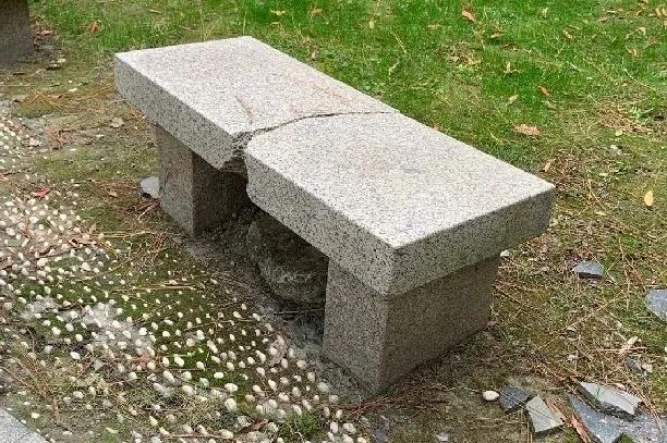 滨江张家西直河提升改造ing