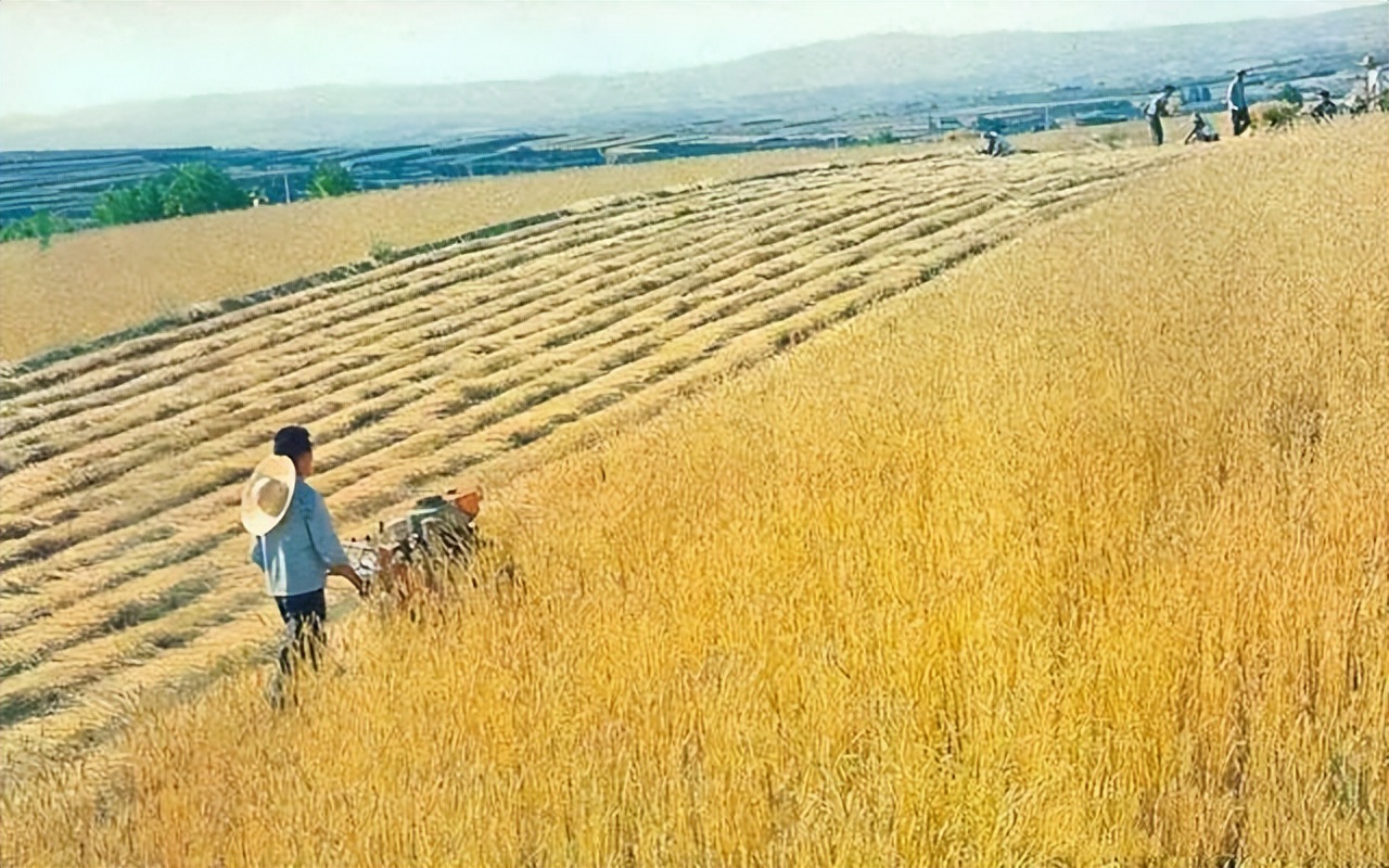 农业学大寨:70年代老照片,见证那个激情澎湃的时代