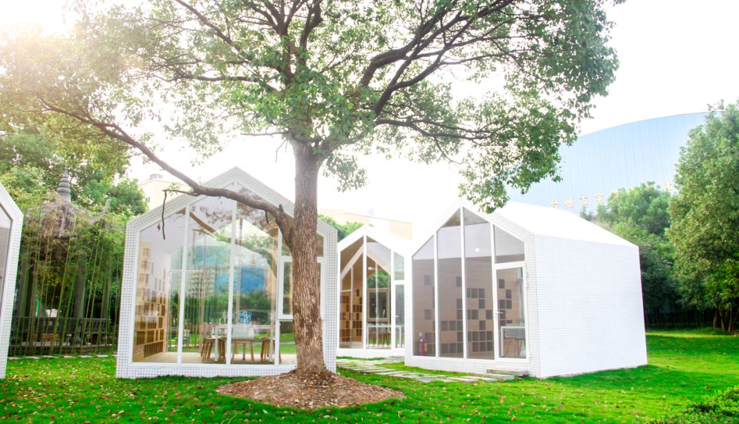 招生咨询丨台州市实验中学2020年初一招生信息,家长需要注意事项