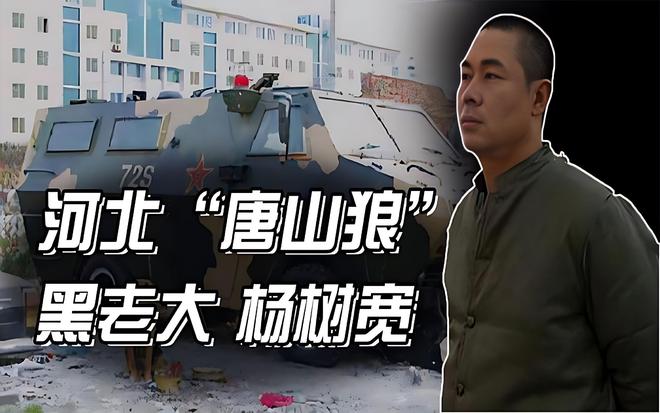 案例:黑老大杨树宽,十年非法获利8个亿,被捕时家中搜出30把枪