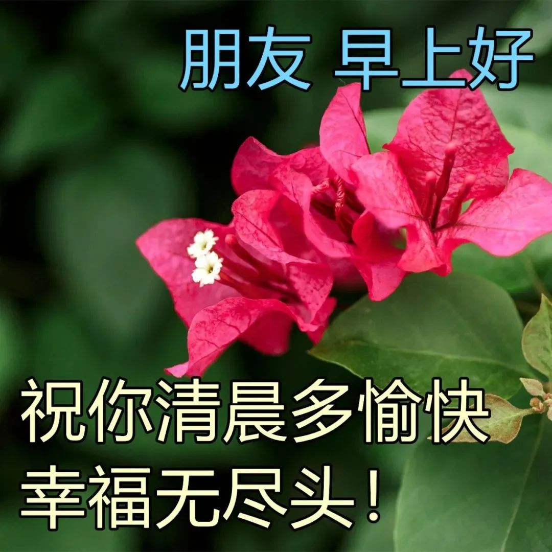 清早很好看早上好图片大全 最新特别漂亮早上好图片