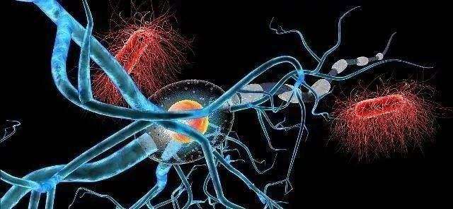 植物神经紊乱现象