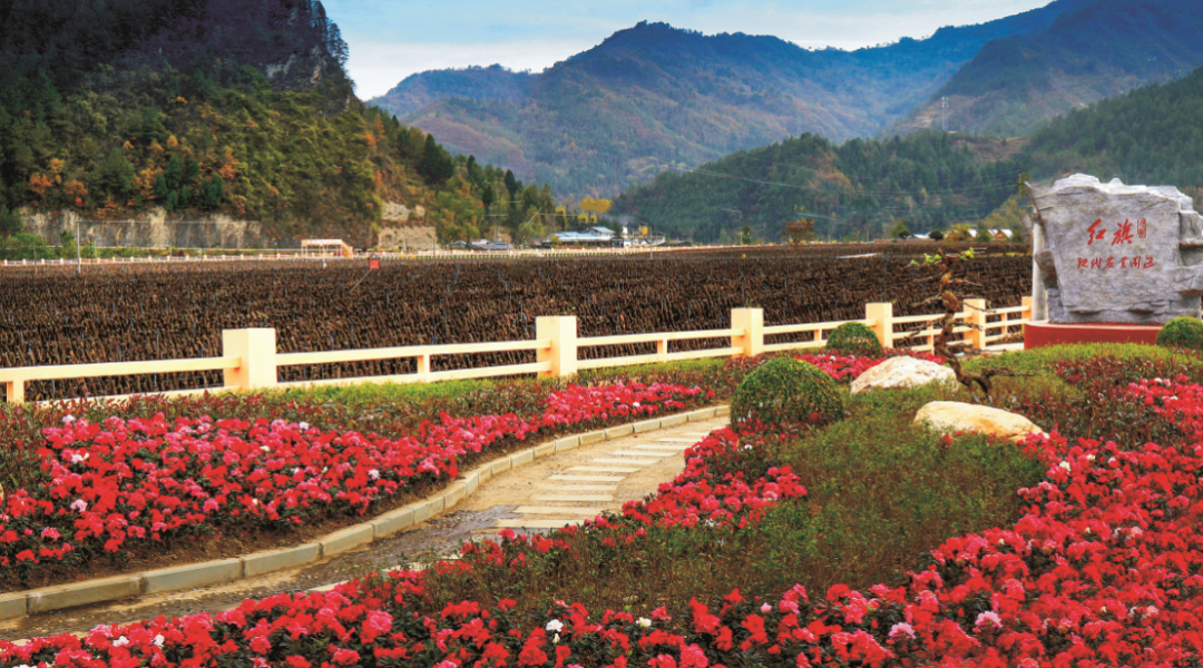 央视《寻百强 看中国》直播青川,向您讲述青川旅游为什么好!