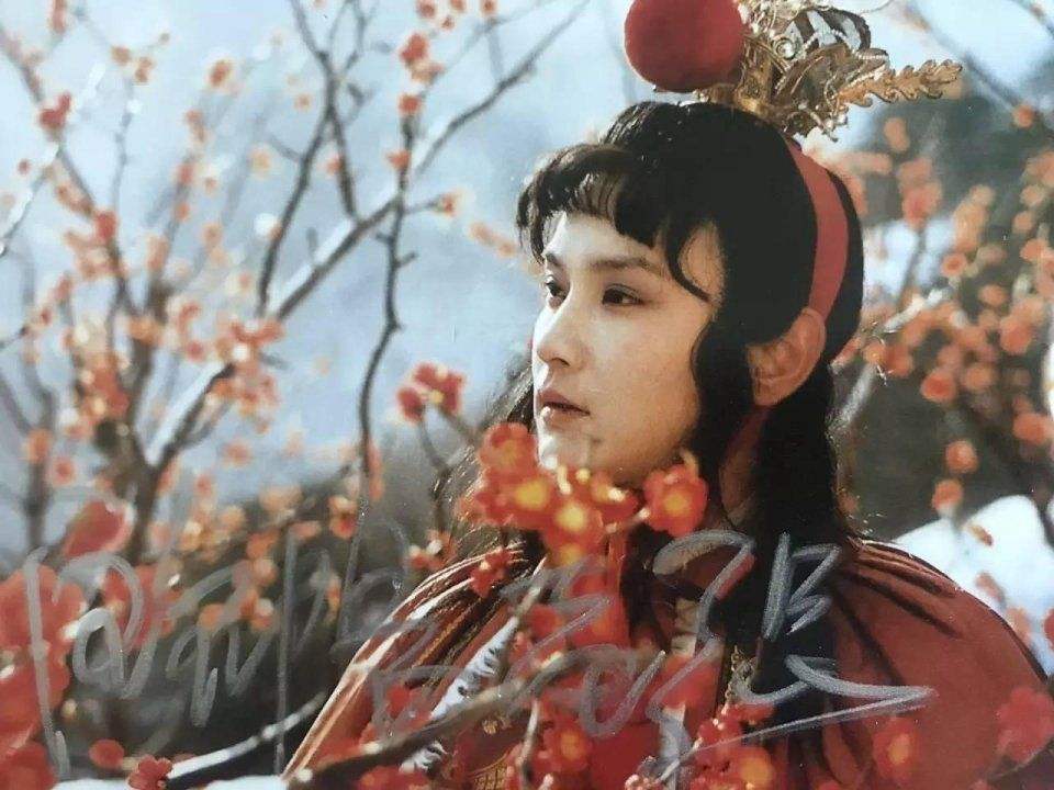 贾宝玉读书一窍不通,为何轻易考中乡试第七?贾政一语道出答案