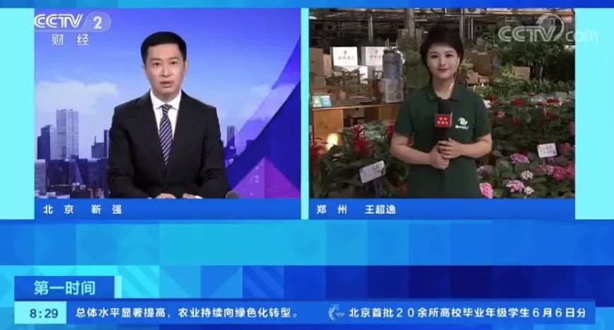 【关注】央视《第一时间》直播连线郑州花卉市场:"买全球,卖全球"的