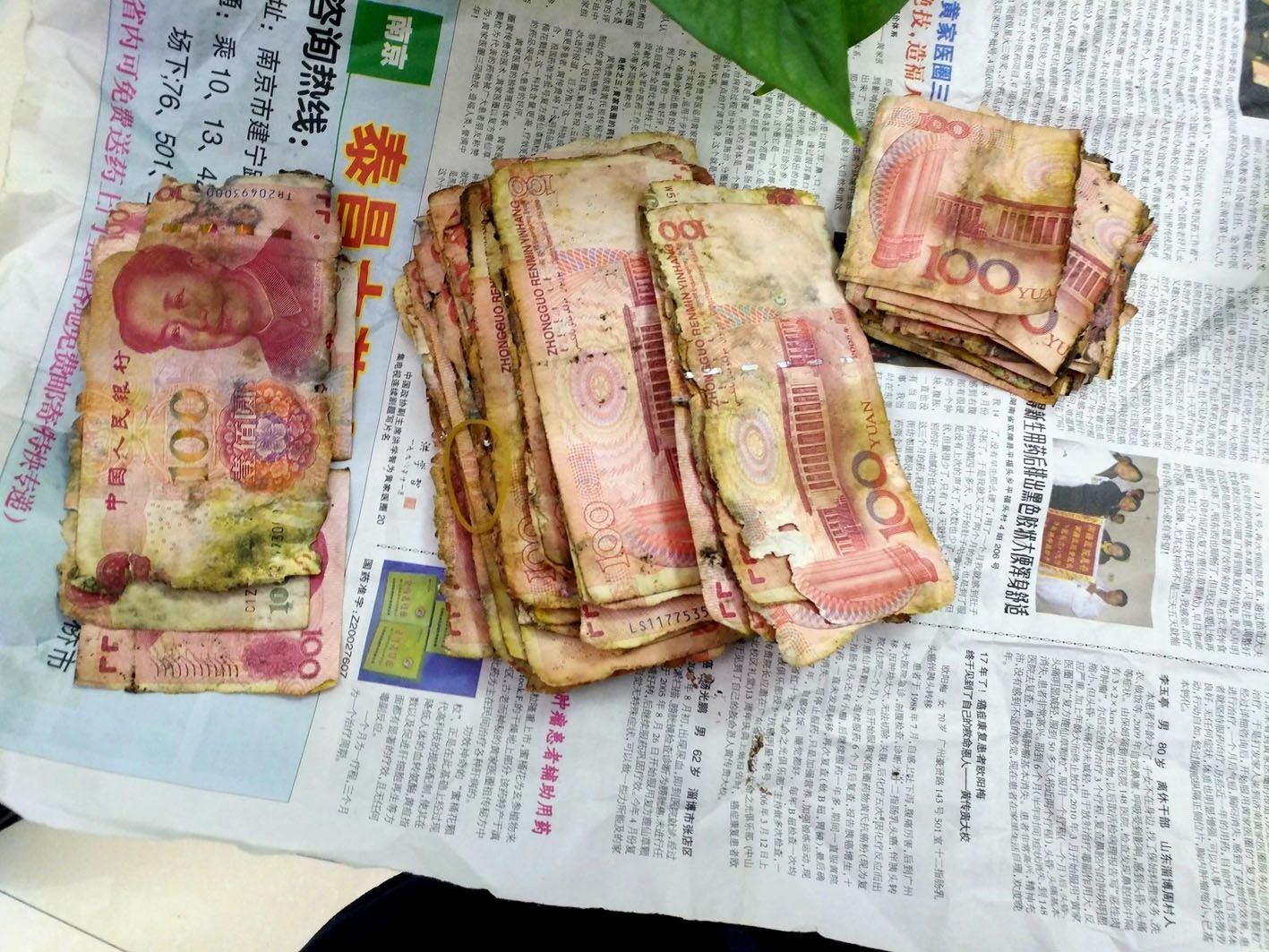 央视新闻|厦门国际银行带您了解残损人民币的兑换标准