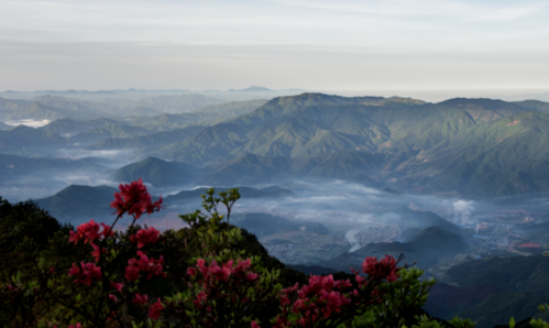 丽水百山祖景区旅游攻略
