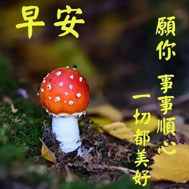 温馨的早上好祝福朋友早安句子