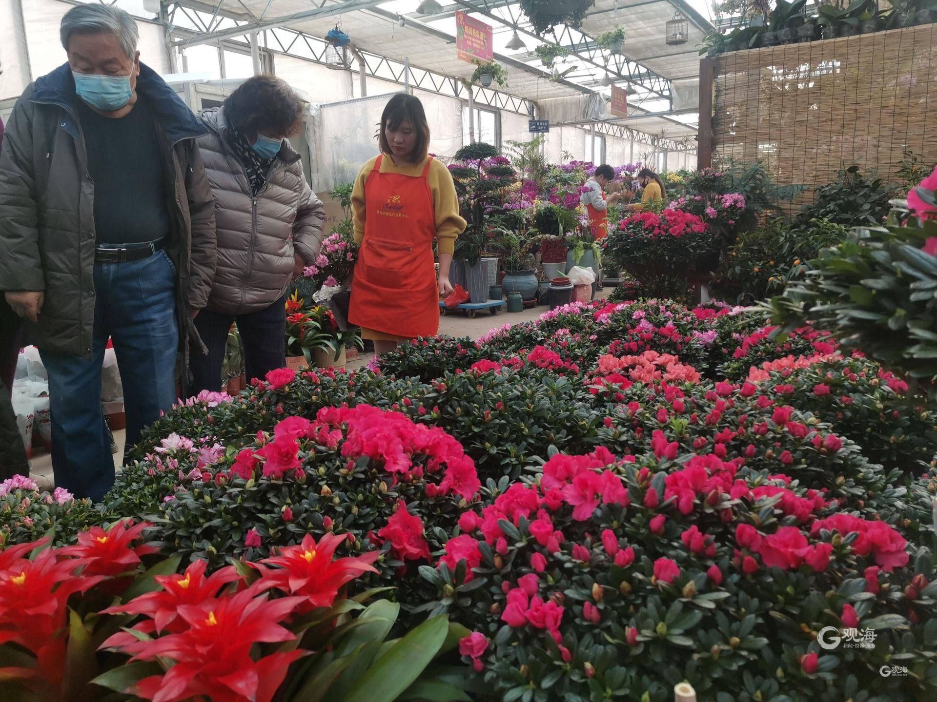 年味浓!枯桃花卉交易中心多彩年宵花俏销