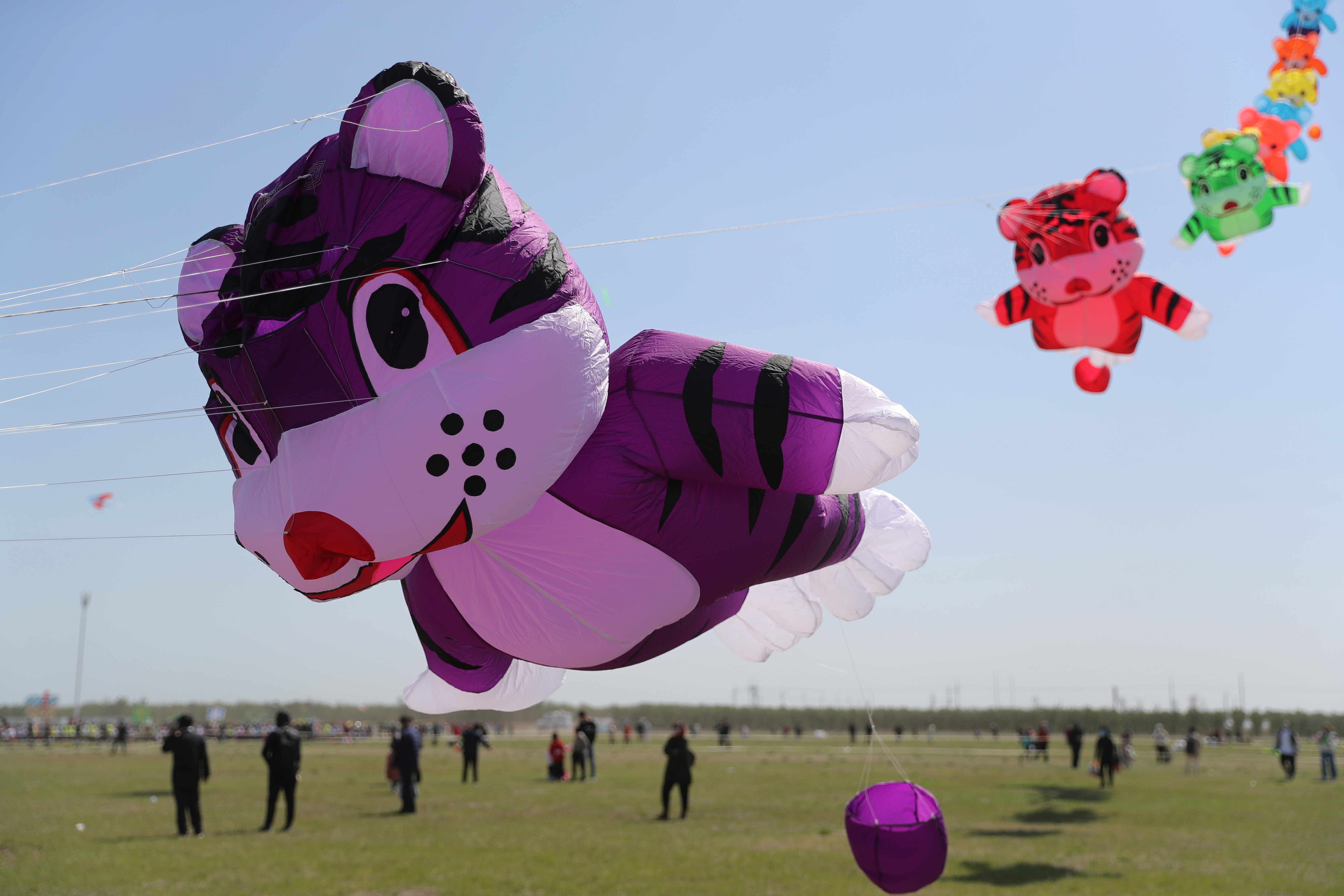 第38届潍坊国际风筝会放飞比赛举行