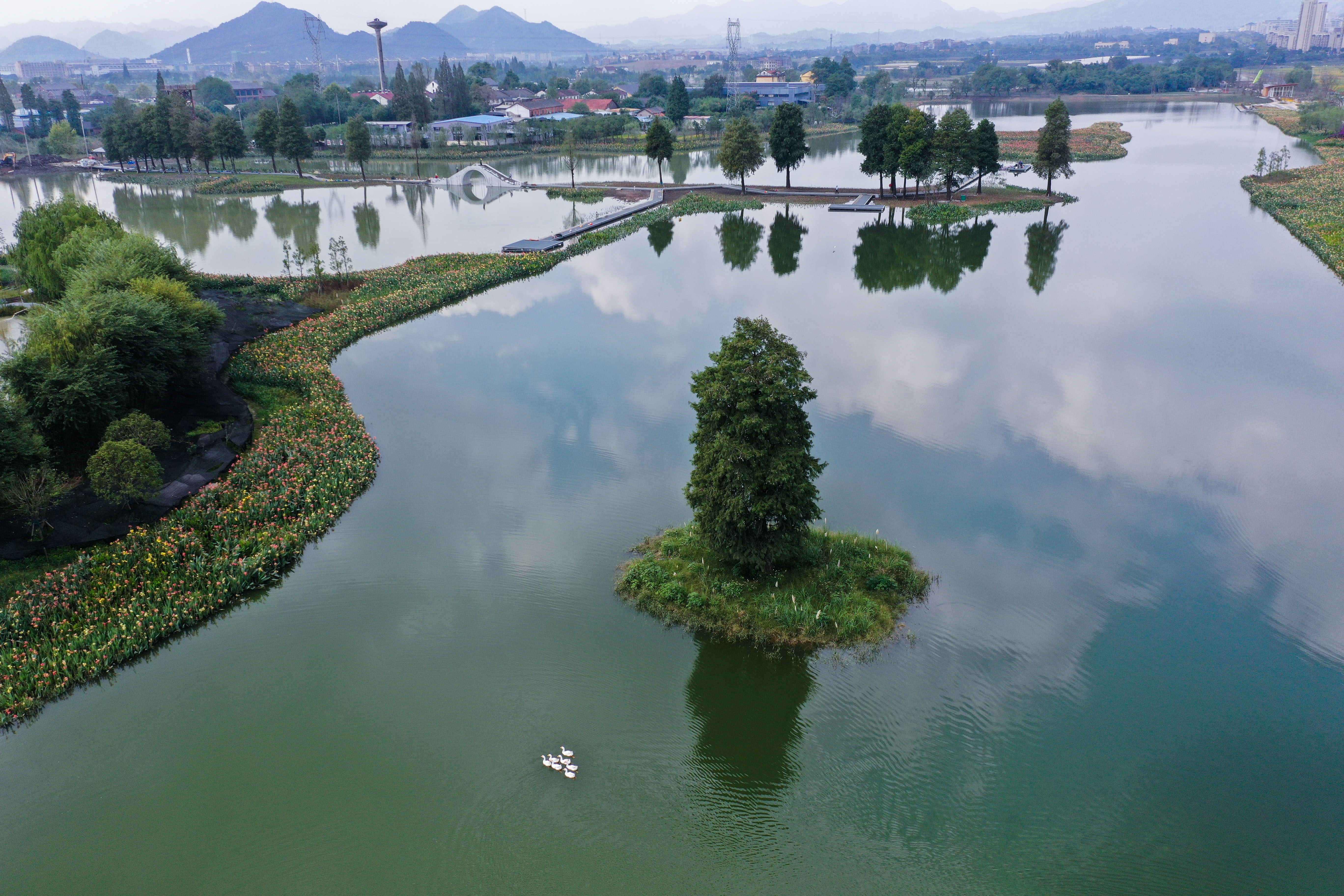 浙江富阳:城市"生态绿肺"亮相(4)