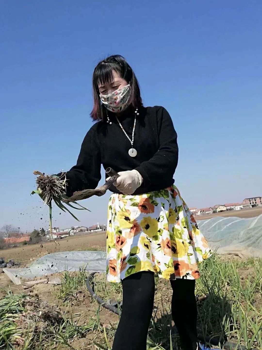 推荐东北大姐滞留塞尔维亚农场，被迫过上如“诗”的田园生活