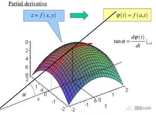 z根号下x2y2图像图片