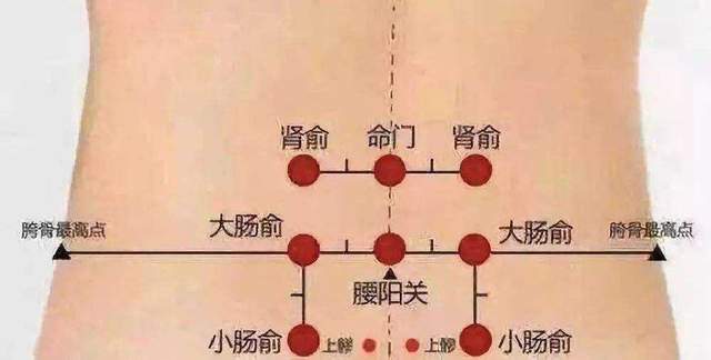 每天3分鐘抖動補腎功,勝過金匱腎氣丸(中醫養生公益課堂系列)