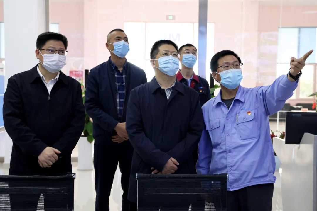 市领导严盛平来濂溪区督导调研安全生产和防汛备汛等工作