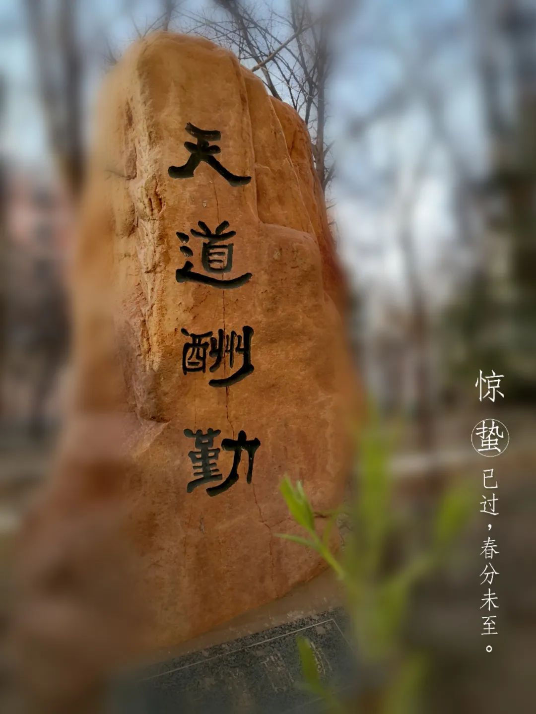 安阳市第五中学李翔校长致小学毕业生的一封信