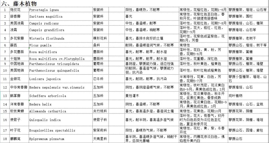 植物图片大全（各种植物图片及名称） 第72张