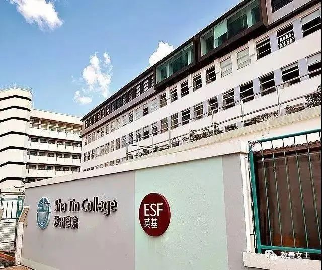 香港国际学校遍地开花但这些幼小中一条龙ib的国际学校要知道