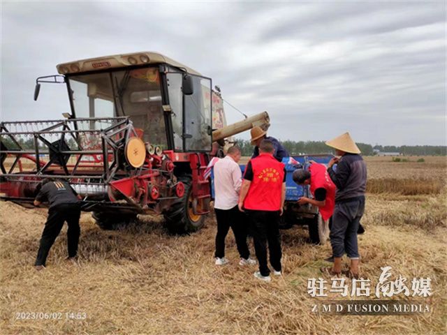 遂平縣沈寨鎮:連夜作戰,全力以赴打好小麥搶收仗