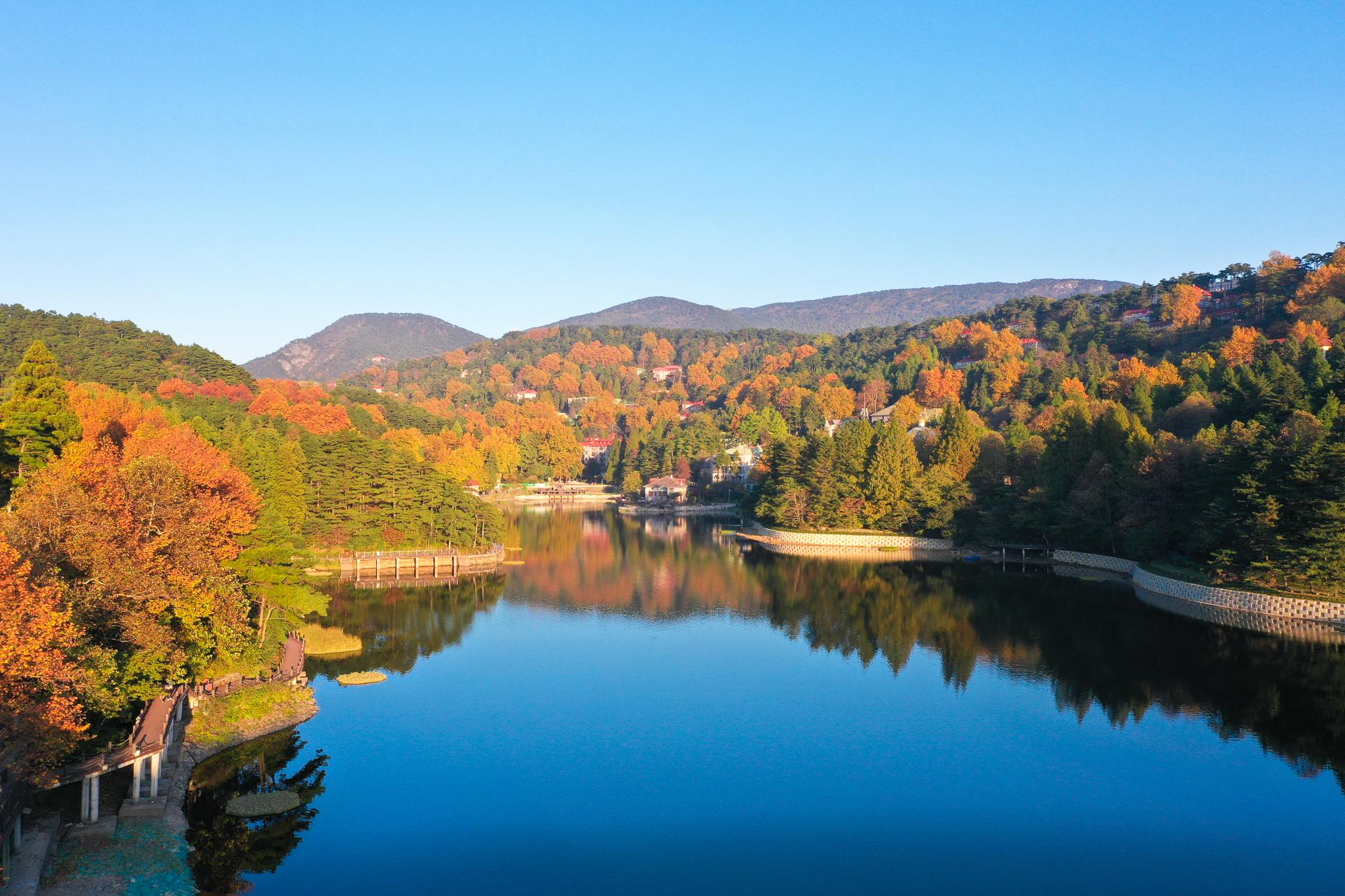 秋天的庐山,漫山遍野层林尽染,来庐山奔赴一场秋天的浪漫