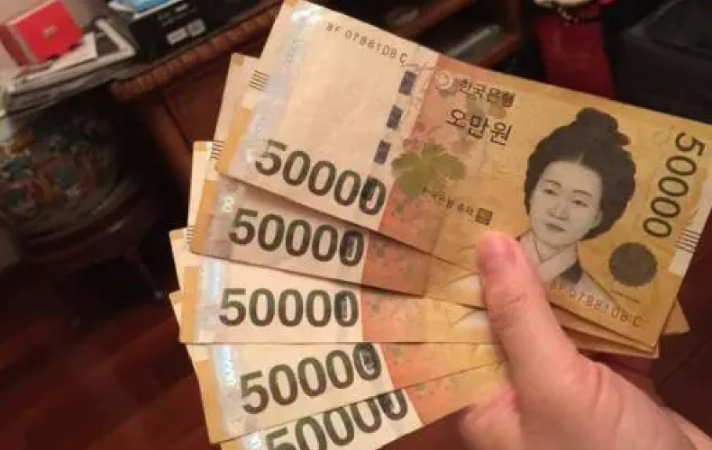 韩国商界:我们是经济大国,韩元应成为世界第六大货币,可行吗?