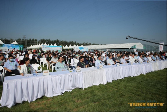 |礼赞丰收,2020年武清区中国农民丰收节盛大开启