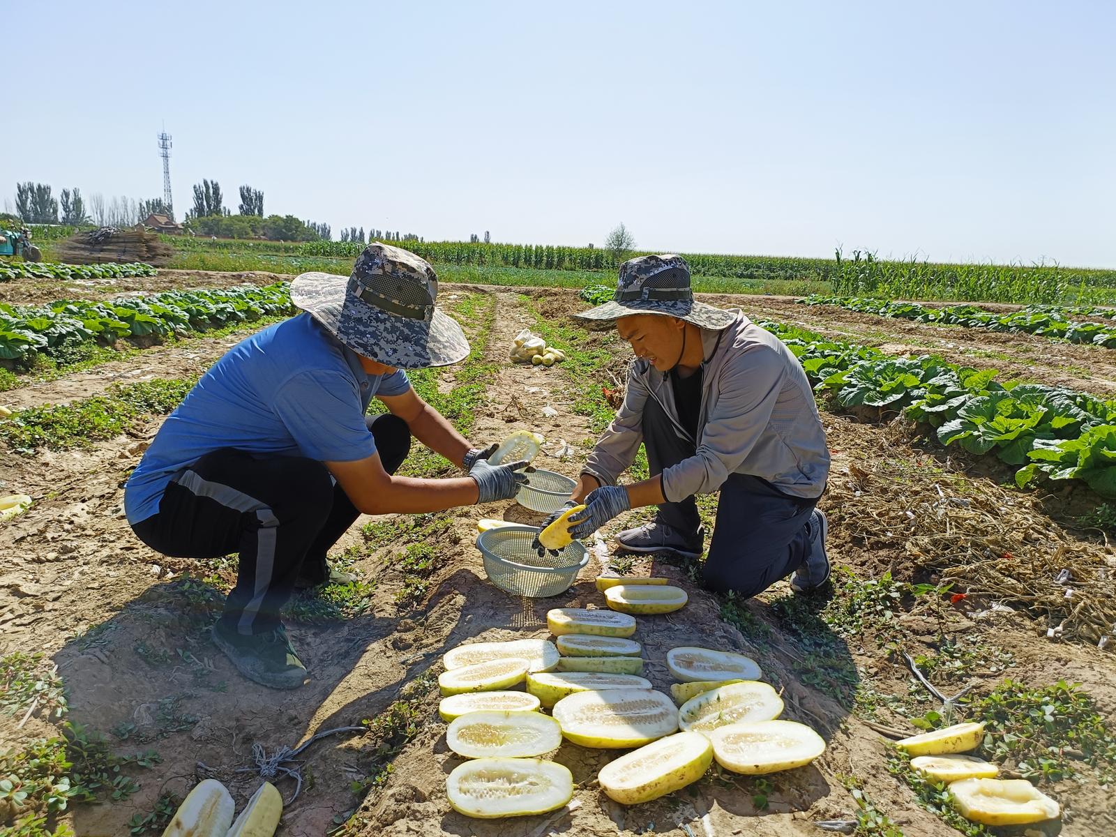 石嘴山市量体裁衣 选派干部挂职锻炼