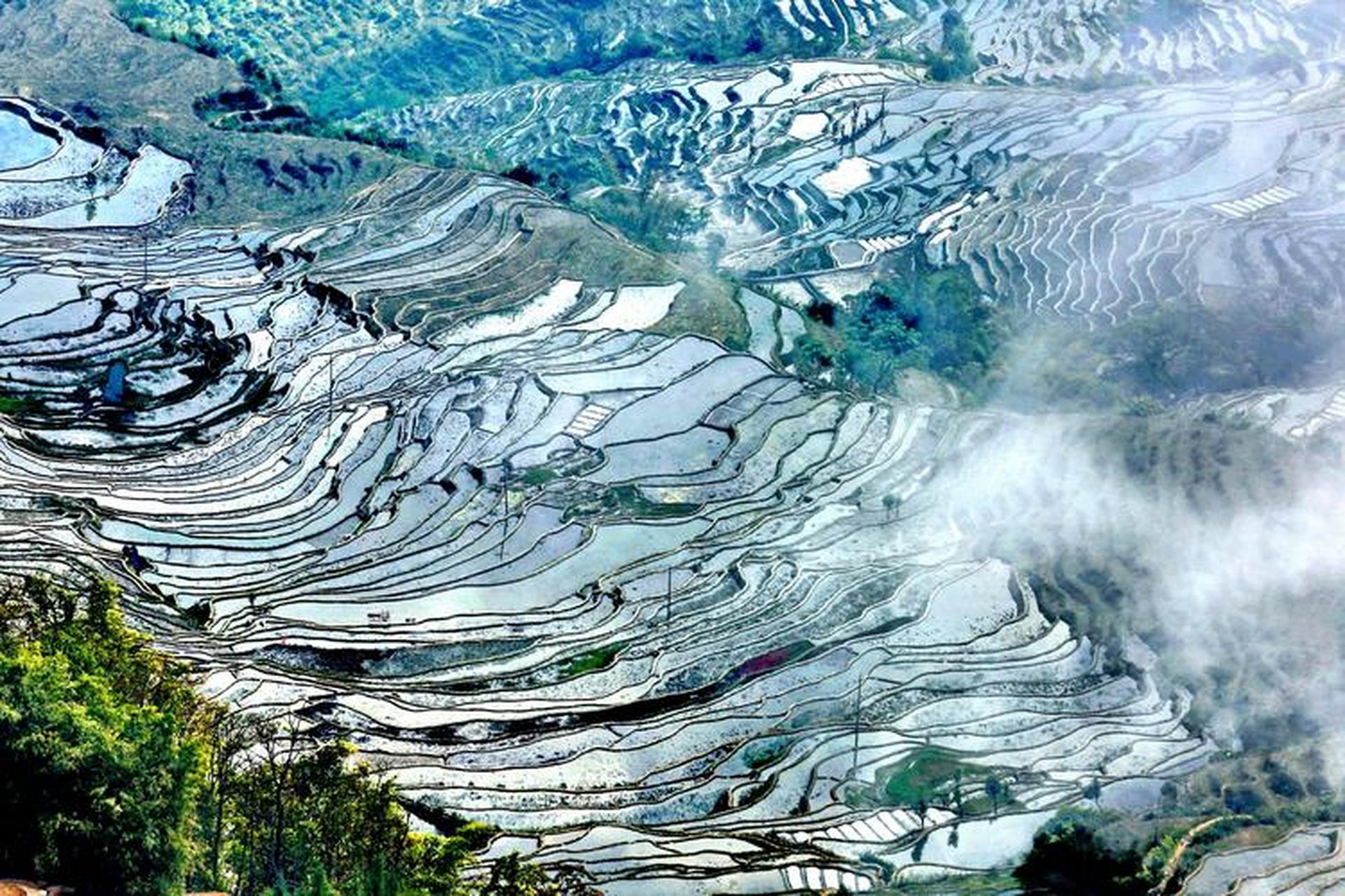 云南红河县撒玛坝万亩梯田在缥缈云海的衬托下,如诗如画一般.