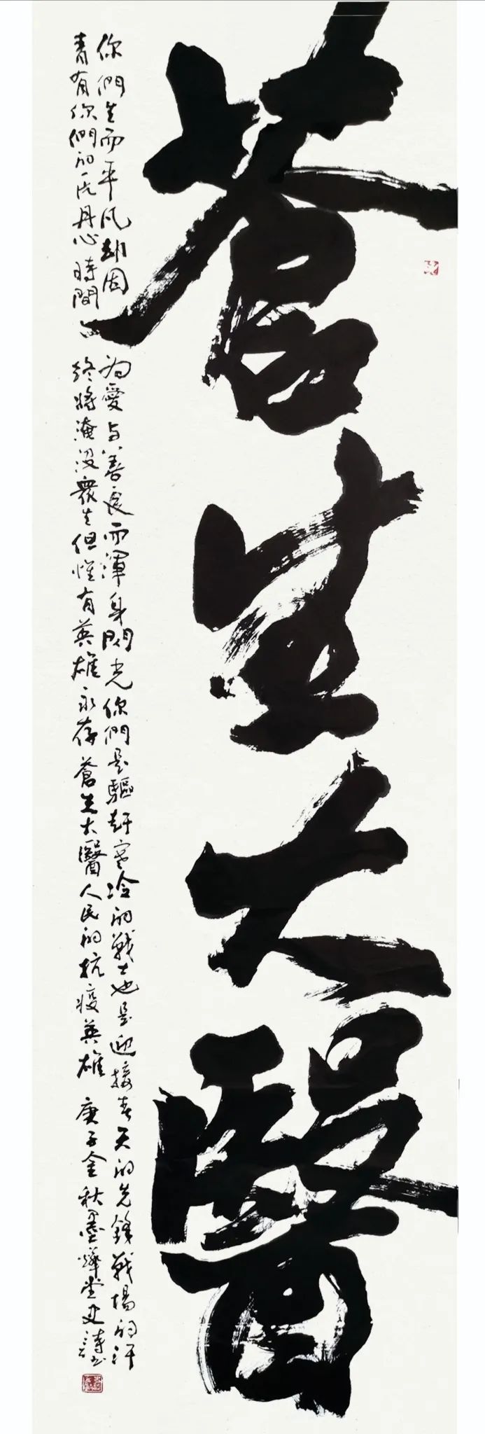 苍生大医240x70cm