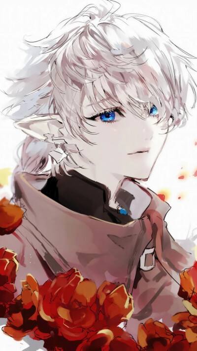 强推《近战狂兵》书评9.6分,激情满满,十分好看