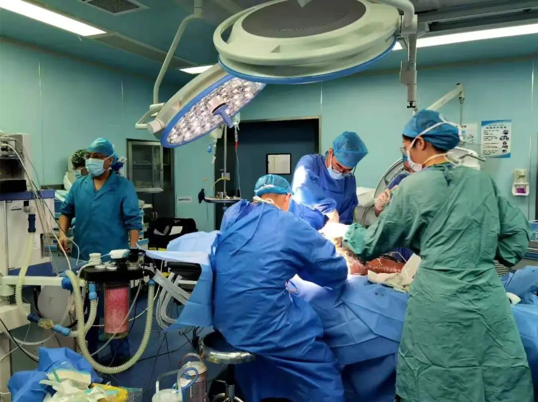 小切口,大视野!