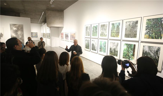 138件精品 46位艺术家倾力打造 浙江省油画院首展重磅亮相最葵园艺术