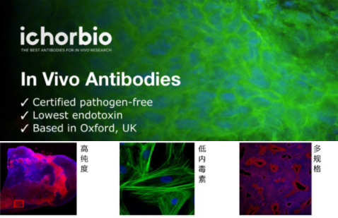 艾美捷利妥昔单抗rituximab参数及应用