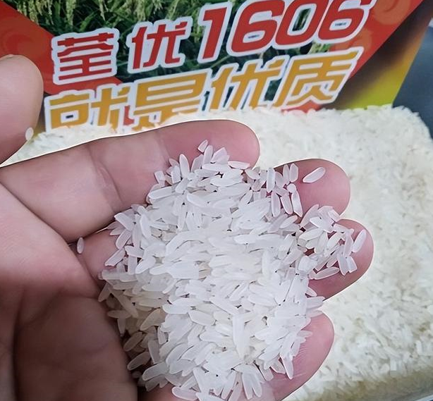 荃优851水稻特征特性图片