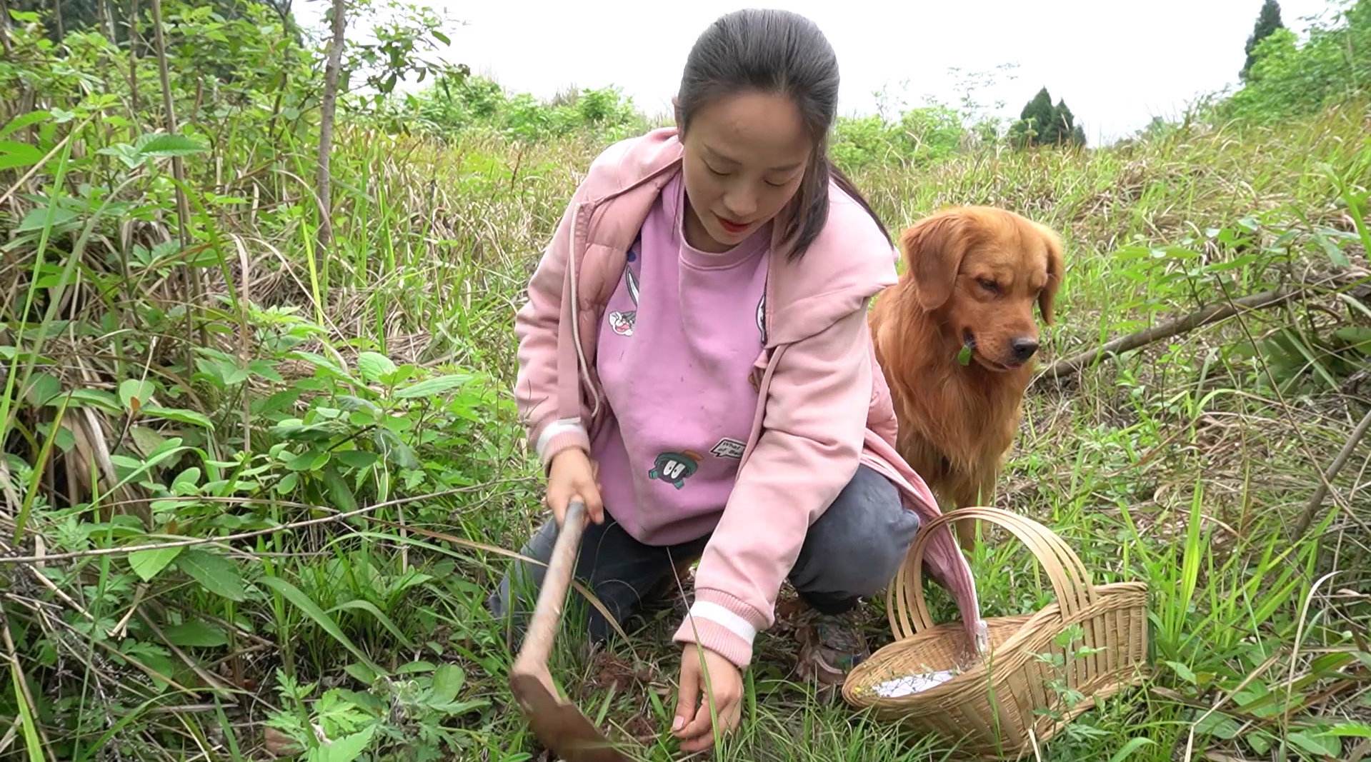 又有农村网红翻车?川乡小妹儿住别墅,被质疑隐瞒乙肝卖自制美食