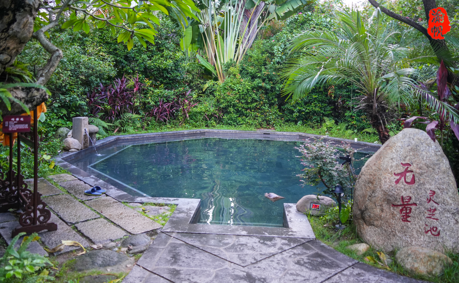 广东温泉好推荐,距珠三角2小时车程的禅泉,拥有亚洲第一温泉池