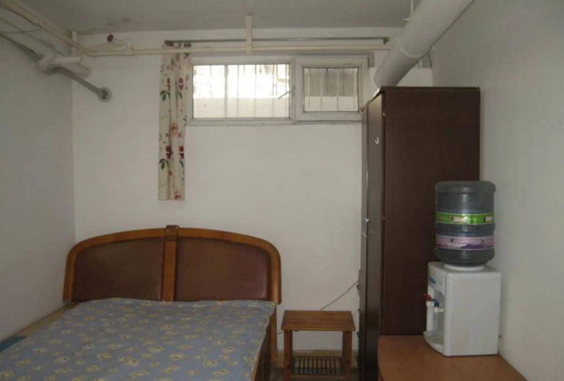 东北女强人叶海洋:曾花50万赴美买精,生混血女儿,如今已有二胎